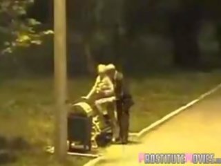 Fellow With A prostitute In The Park