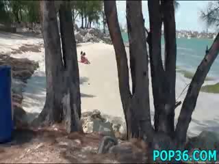 娃娃 護送 吸 和 燕子