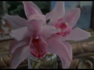 야생 orchidee 성인 비디오 장면 1989, 무료 연예인 고화질 성인 영화 0f
